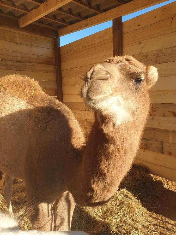 הוילה Cargèse Ferme De Chiuni מראה חיצוני תמונה
