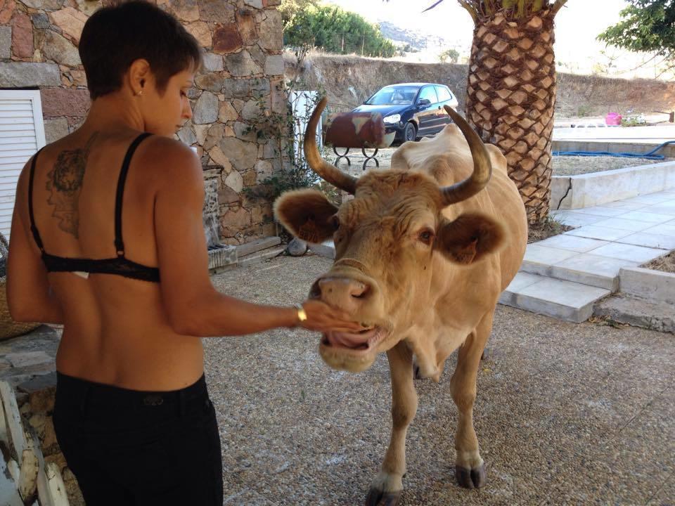 הוילה Cargèse Ferme De Chiuni מראה חיצוני תמונה