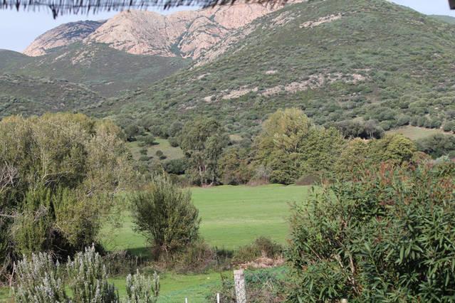 הוילה Cargèse Ferme De Chiuni חדר תמונה