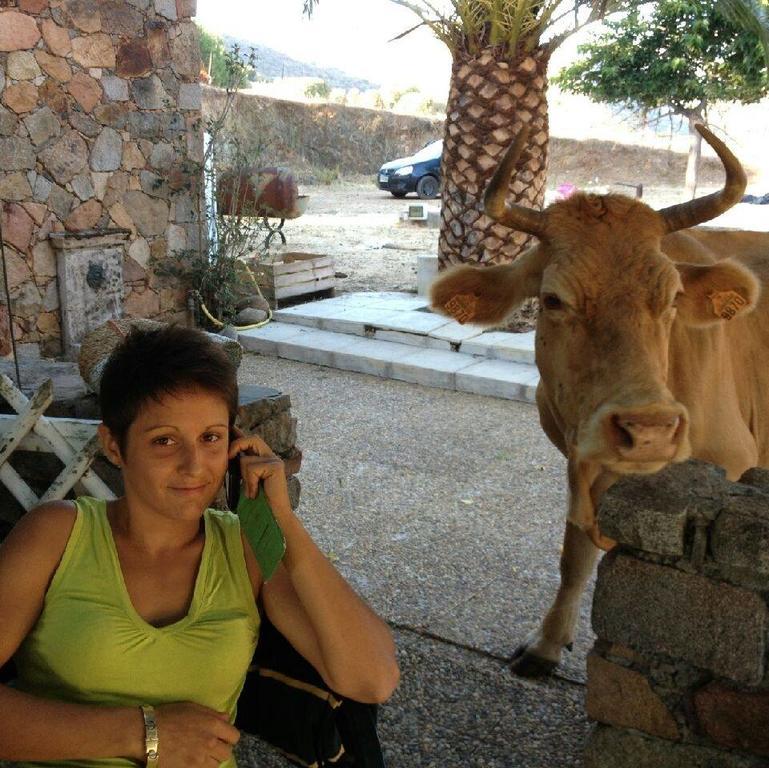 הוילה Cargèse Ferme De Chiuni מראה חיצוני תמונה