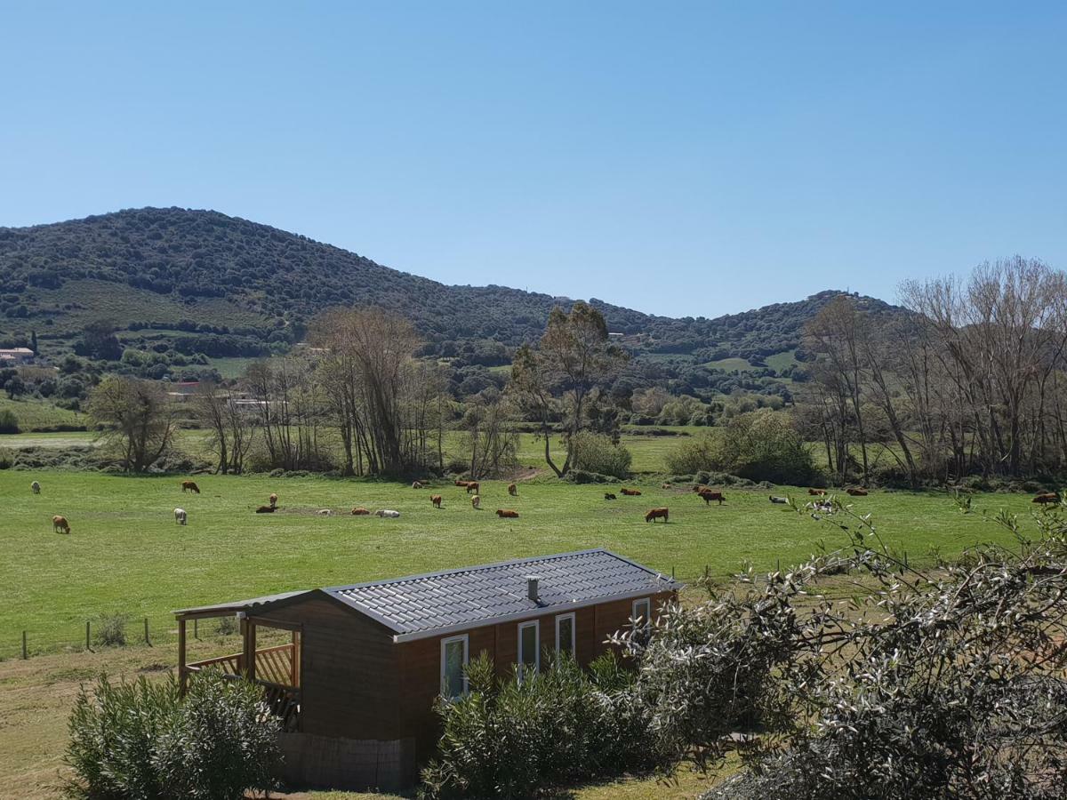 הוילה Cargèse Ferme De Chiuni מראה חיצוני תמונה